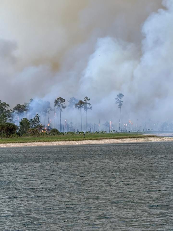 Andrew Shipotofsky tweet media