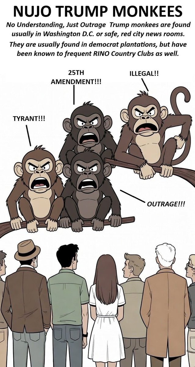 Southern Illinois tweet media