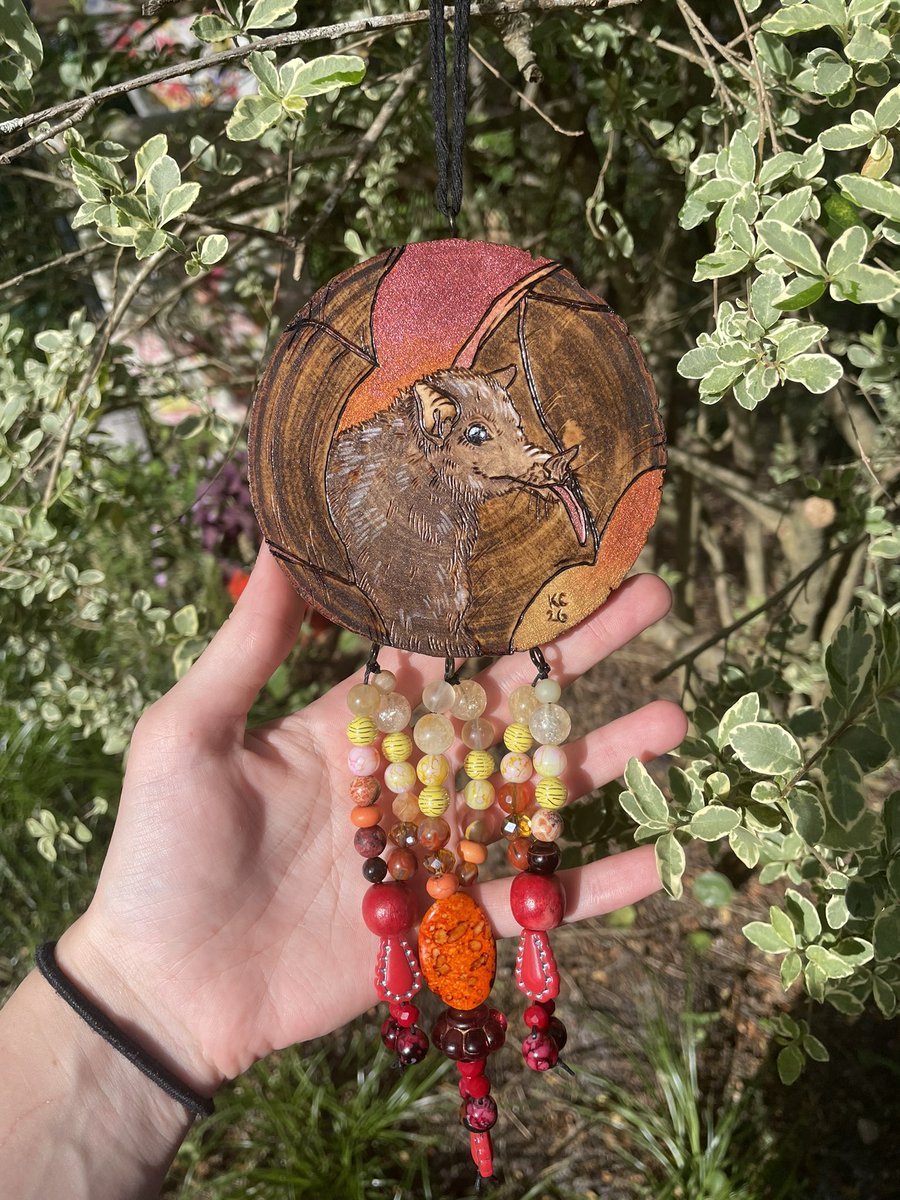 Katscales86 tweet media