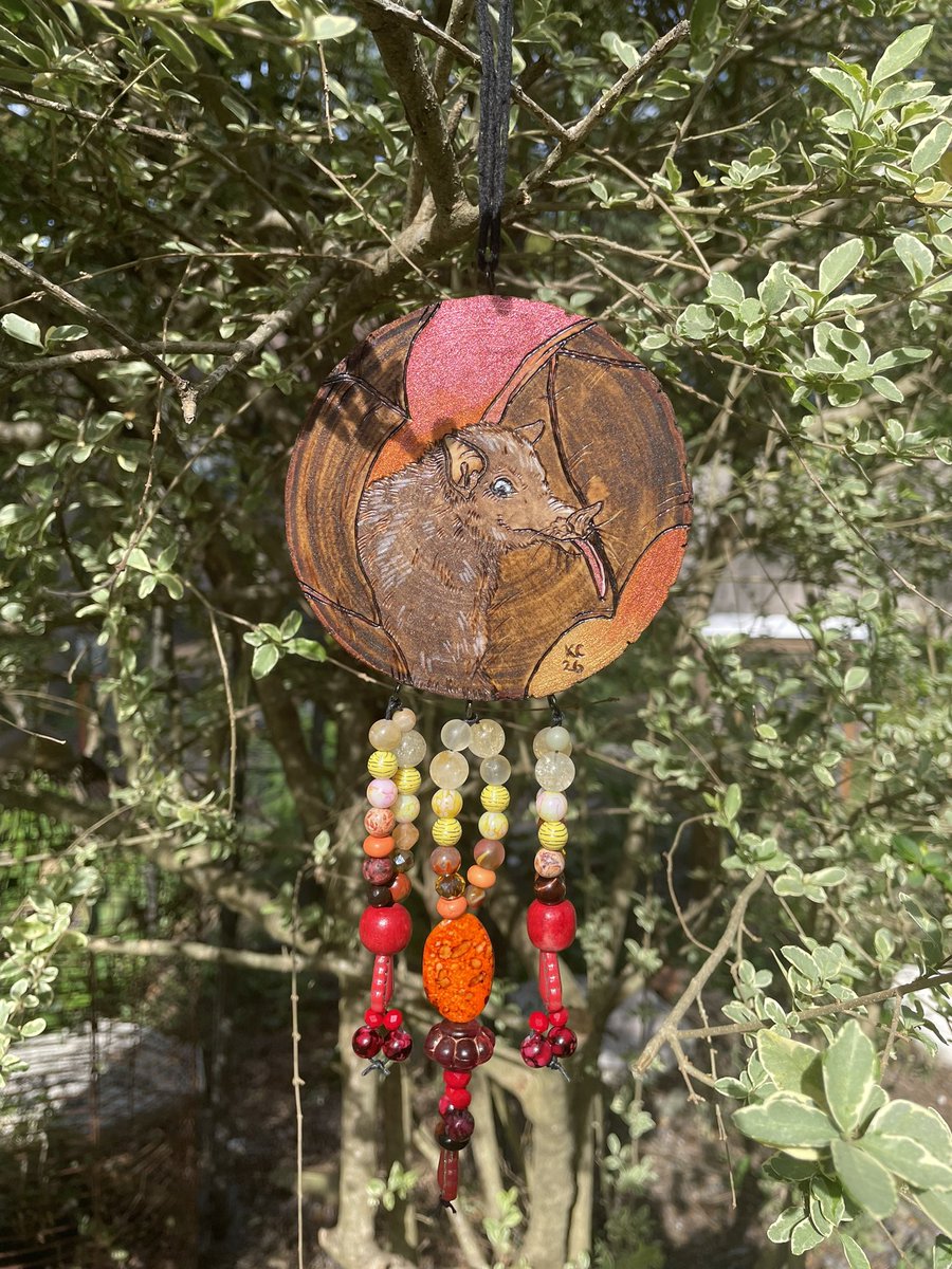 Katscales86 tweet media