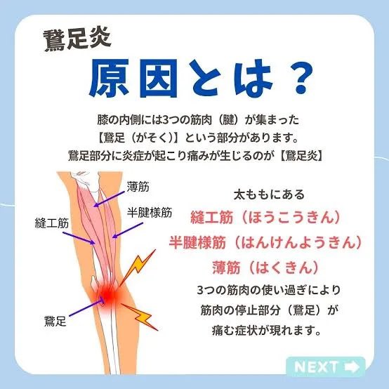 登販ランナー　11/8アクアライン tweet media