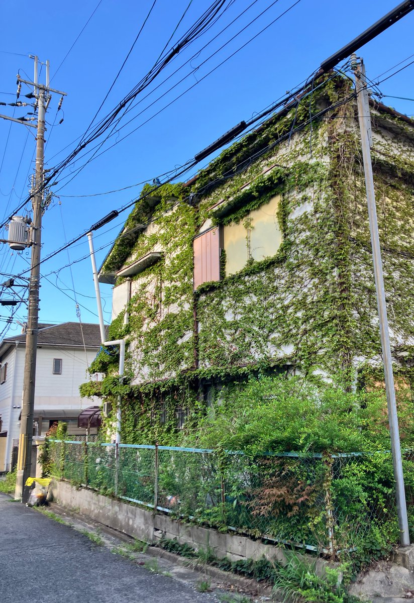 ボブ⛑️ ヒトとモノ展 9月10日〜 tweet media