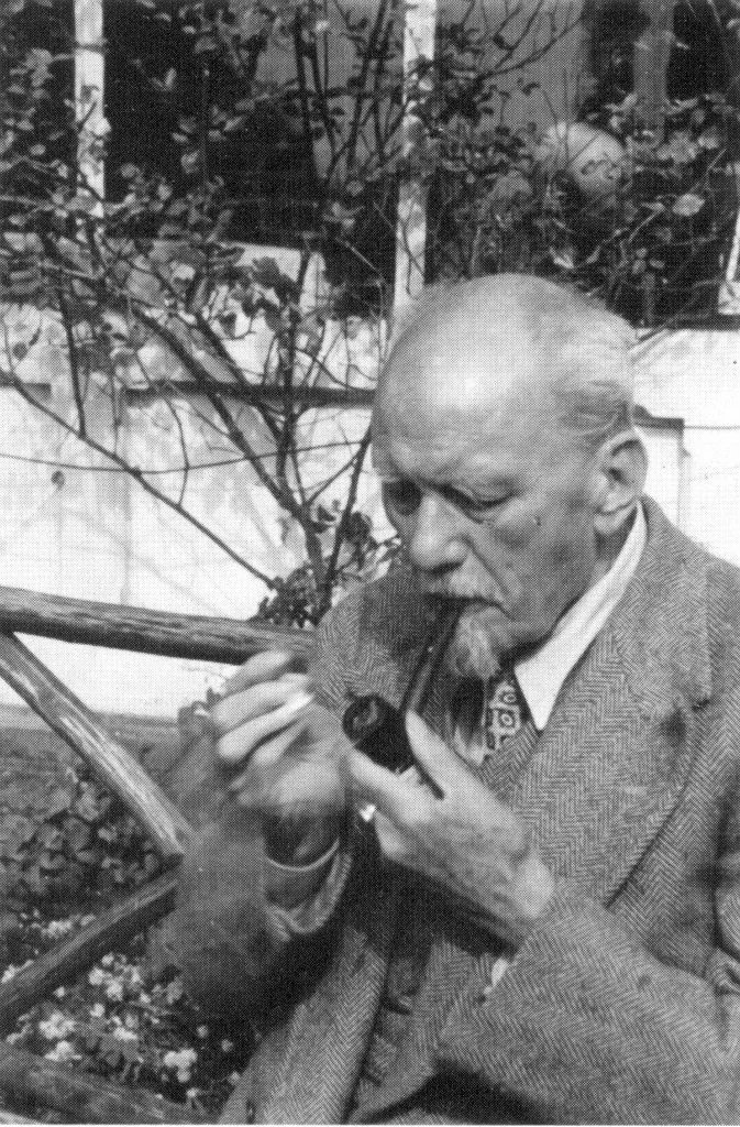 Nexus 🫪 tweet media