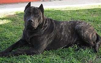 Carlos Q. "Nada es gratis, otro paga por eso" 🇺🇾 tweet media