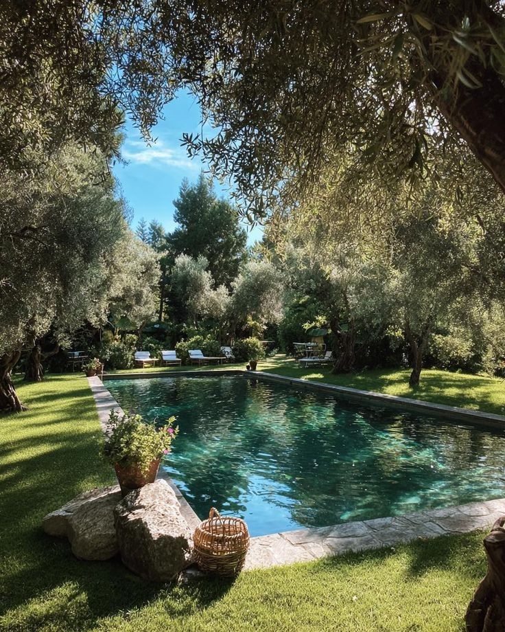 Turquoise pool nestled under ancient olive trees.