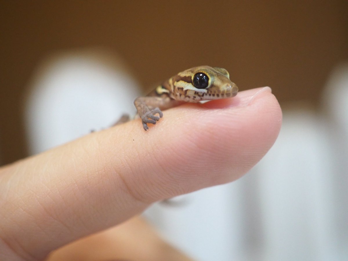 ใดใ@ใซใจใซใจๆฎใใ tweet media