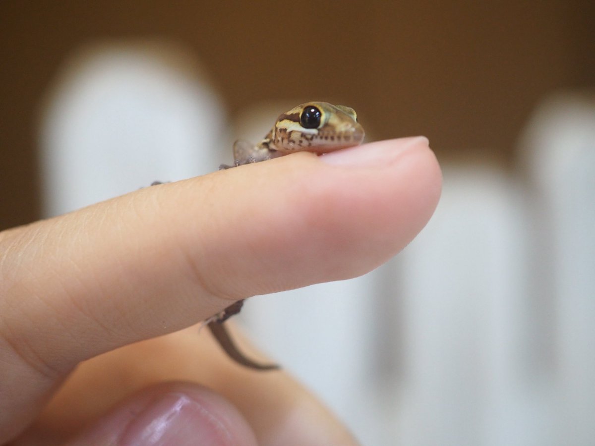 ใดใ@ใซใจใซใจๆฎใใ tweet media