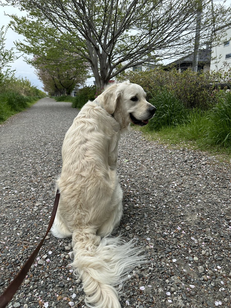おはようございます☀
今朝も良いお天気！朝の風が気持ちよかった。あんまり暑くない。よし！
いろんなことを考えては頭の中をぐるぐる。電車が遅れておりますがどーにかなるでしょう。
朝のラッシュはあるからね。
今日も怪我なく事故なくだ。
皆様も良き日を！