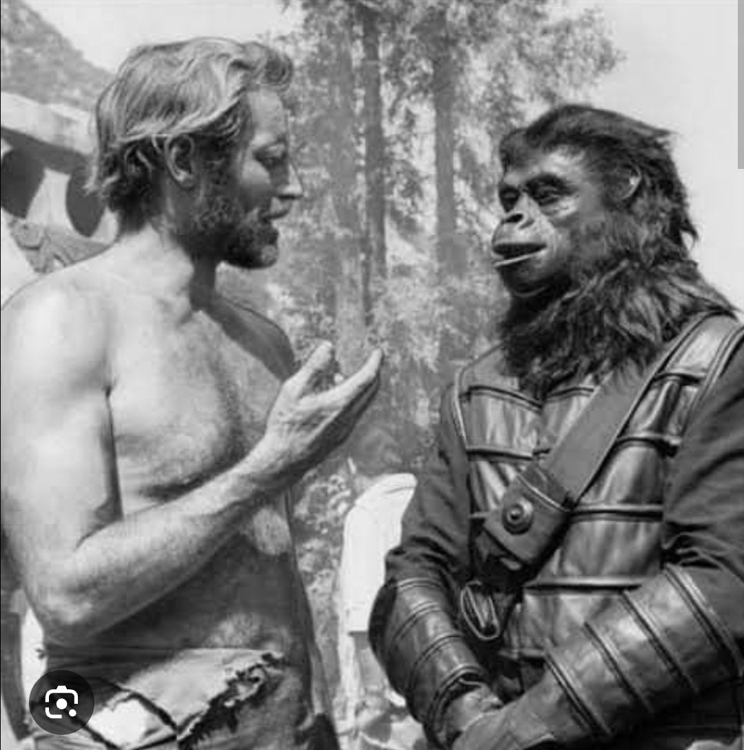 Santiago Liut tweet media