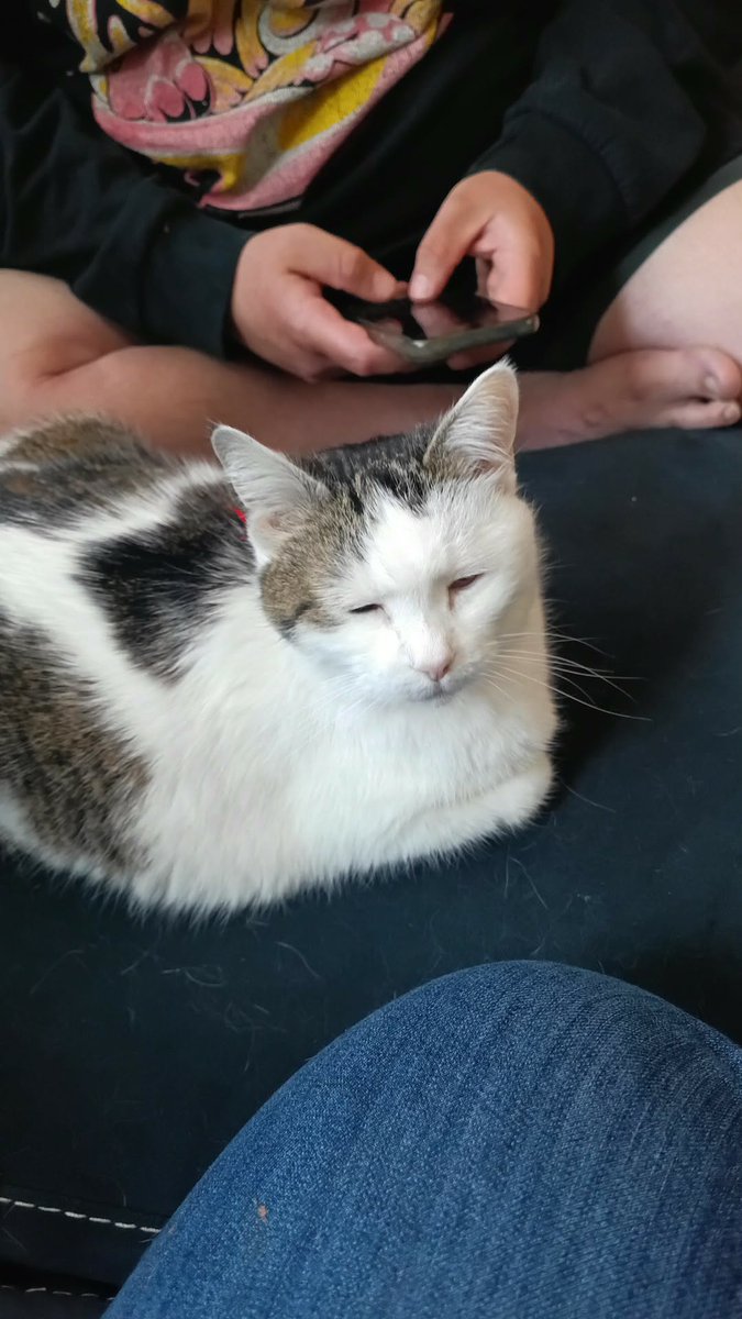 💖 Emu 💖 tweet media