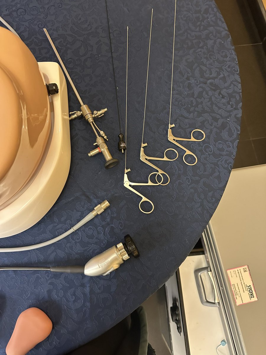 Maddh_'s tweet photo. Proud to be part of the OB&amp;GYN track — one experience at a time. 🤍

#DefinedByPrecision
#SESB2026 https://t.co/IT1UJ8Emdi