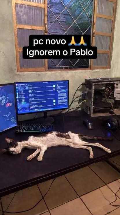 noxter0's tweet photo. nova aquisição https://t.co/sdhP7GmB9l