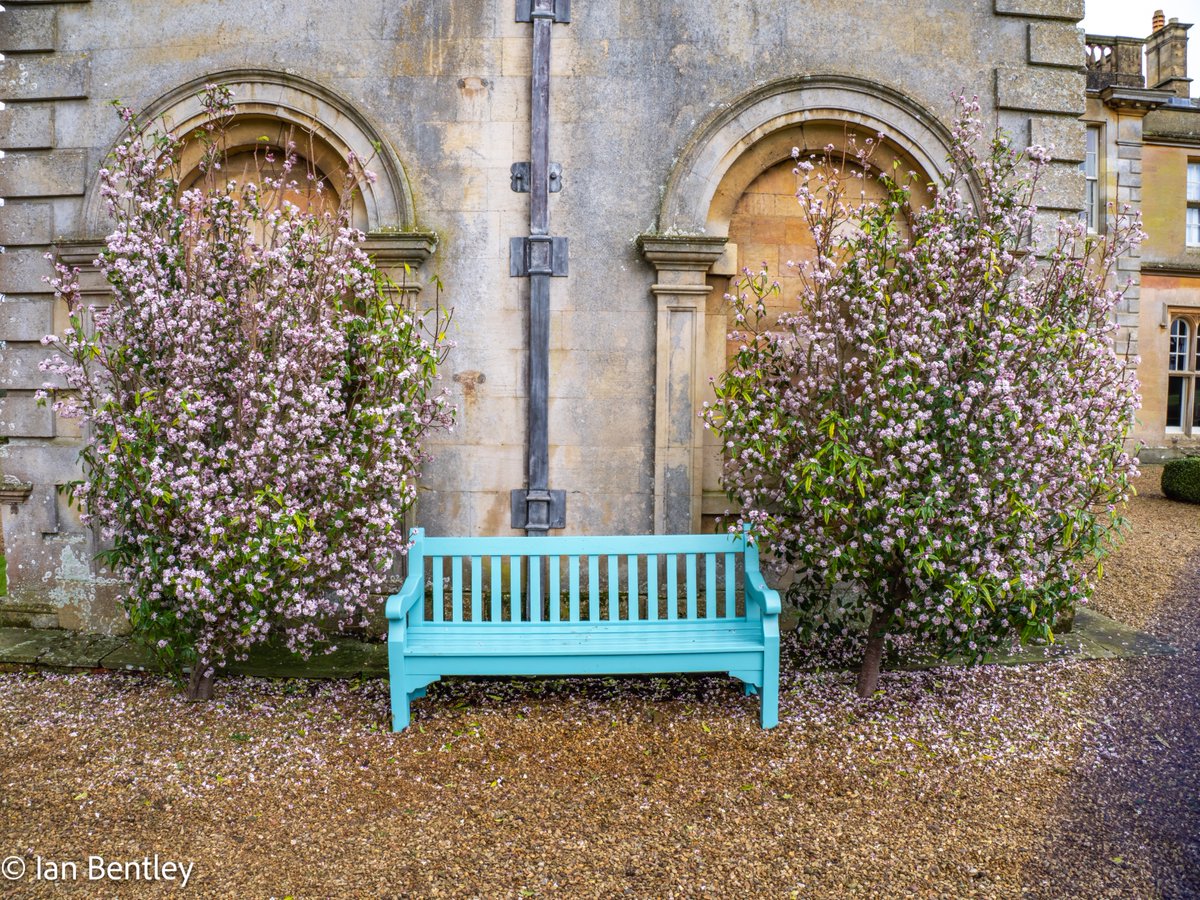 IanMBentley's tweet photo. Snowdrops at Lamport House, and some lovely benches to sit - OM1 with 12-100mm F4 Pro lens - 8th Feb
@OMSYSTEMCAMERAS @OlympusUK
@OlympusMagazine @Lamport_Hall
@Historic_Houses
#snowdrops #wildflowers #Flowers #photography #WINTER #wintercolours https://t.co/5mmfzK2aFG