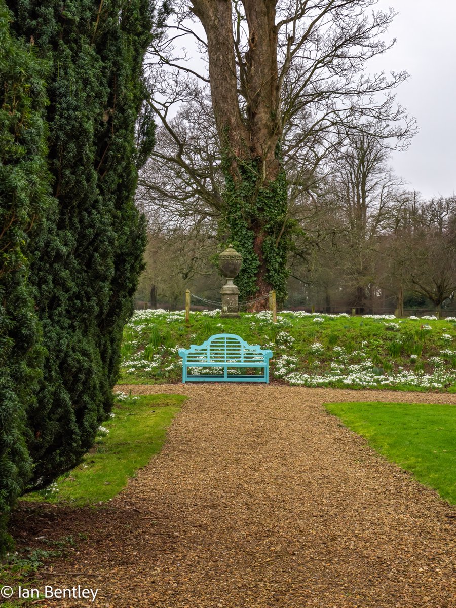 IanMBentley's tweet photo. Snowdrops at Lamport House, and some lovely benches to sit - OM1 with 12-100mm F4 Pro lens - 8th Feb
@OMSYSTEMCAMERAS @OlympusUK
@OlympusMagazine @Lamport_Hall
@Historic_Houses
#snowdrops #wildflowers #Flowers #photography #WINTER #wintercolours https://t.co/5mmfzK2aFG