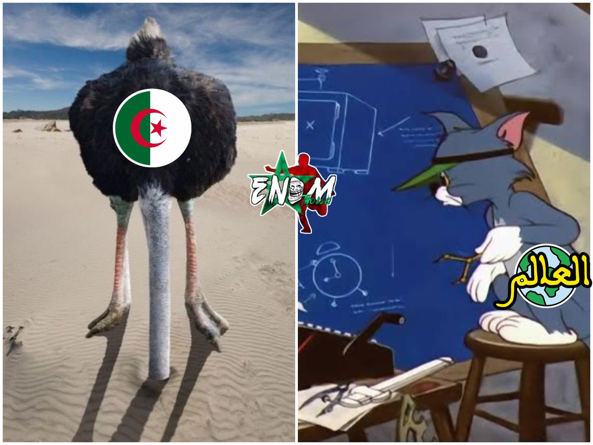 ENDM Trolls tweet media