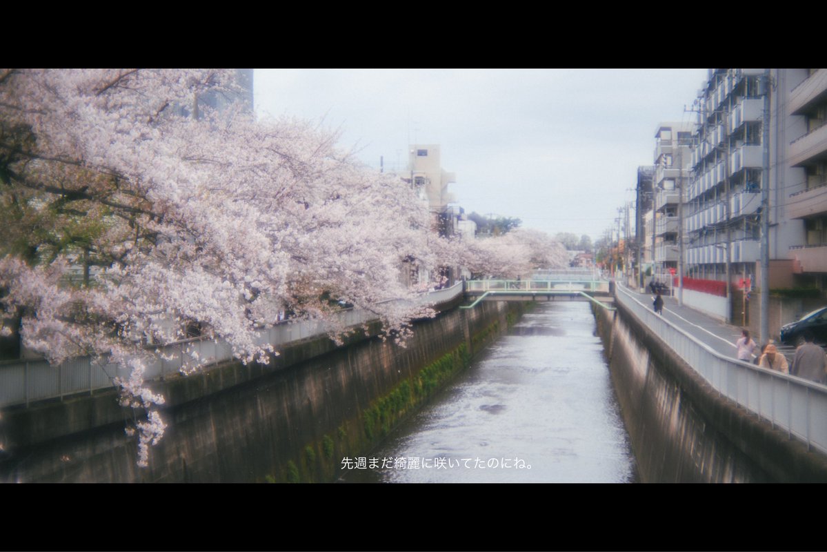 D__t_k's tweet image. 瞬き。

#punctumpc
#GENIC_web 
#写真好きな人と繋がりたい