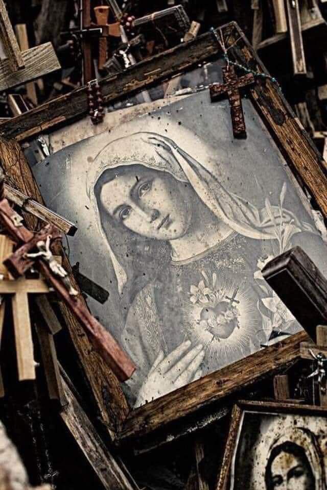 Juan 🇻🇦 tweet media