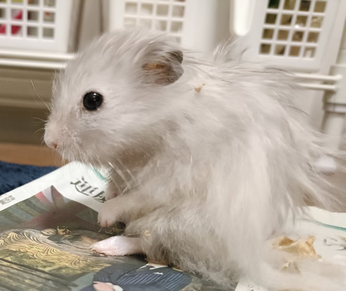 う丼 ⚠超雑多垢 tweet media