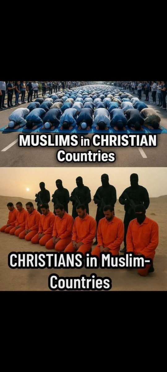 Fedup American 🇺🇲💪 tweet media