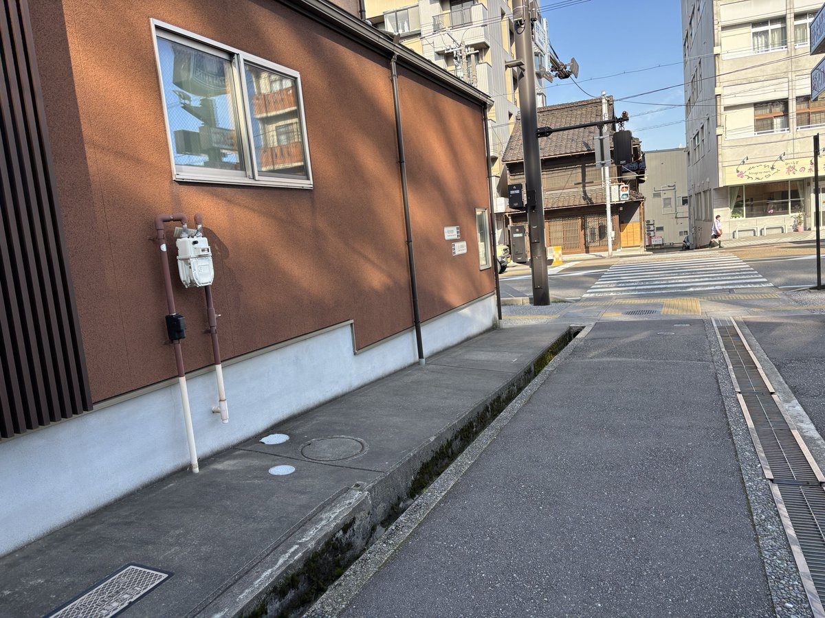 ただの散歩ですよ、ええ