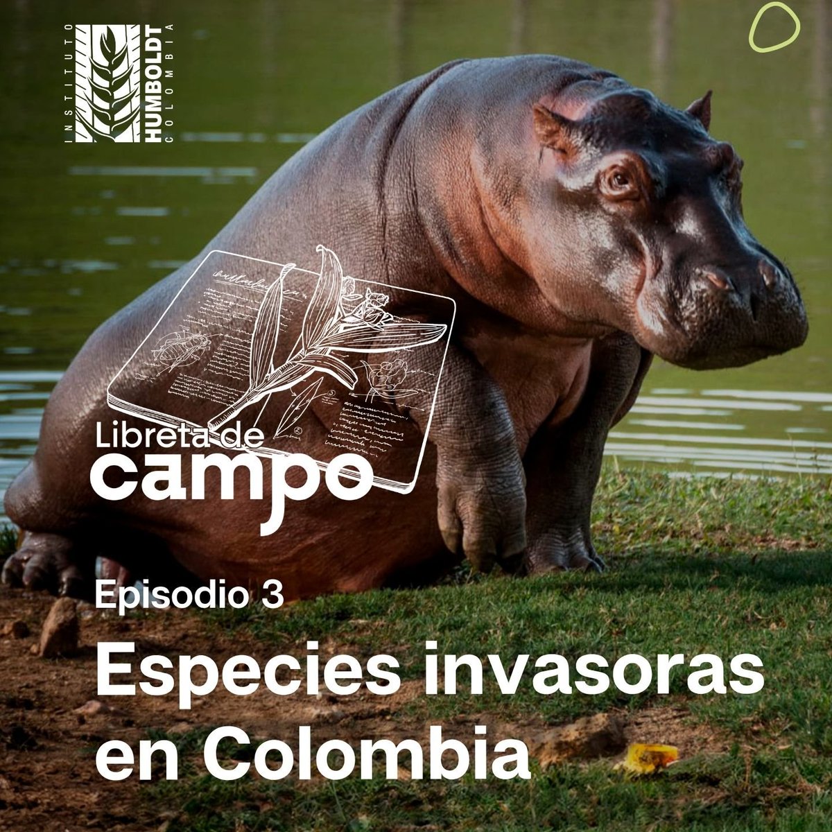 Instituto Humboldt tweet media