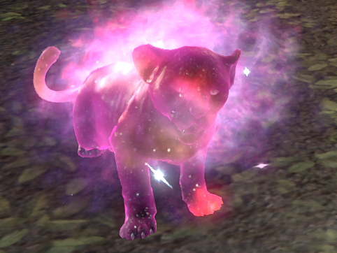 ˖⁺‧ ₊ princess mae ⁺‧ ₊ ˚ ⋆ tweet media