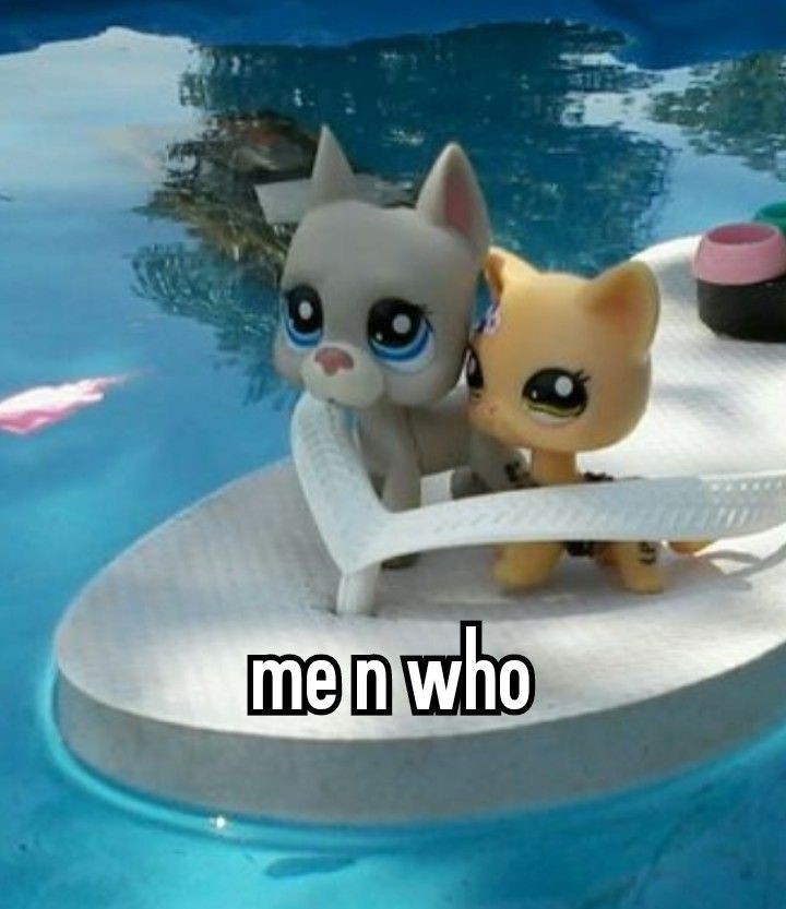 morgan ★ tengo limit aún tweet media