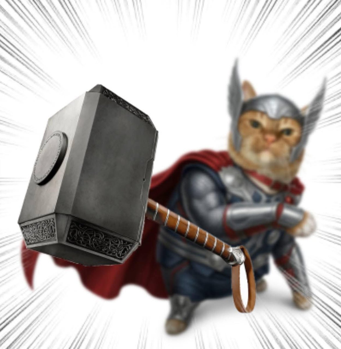 Throwing Things Daily tweet media