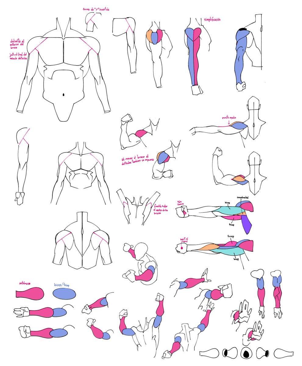 🇵🇪🦤PElomocobrizo🦤🇵🇪 tweet media