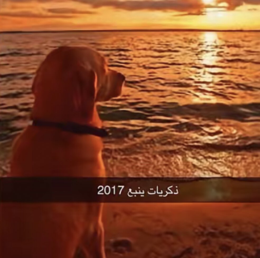 Afnan32869628's tweet photo. احلى فتره بحياه دازاي ما  ينلام وهو ما تخطاها https://t.co/JXgMtAnQml