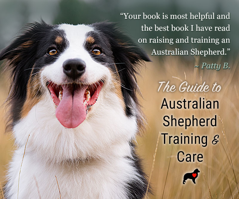 AussieShepLover's tweet image. The GUIDE TO AUSSIE TRAINING AND CARE Ebook! 🐾💖🎓
🔶 Created by Aussie Lovers, for Aussie Lovers...
🔶 OVER 40% OFF—GET YOUR COPY TODAY!!
🔶 Enter "ASL40" at Checkout 👍
australian-shepherd-lovers.com/asl-ebook-tw

#australianshepherd #aussie #dogtraining #puppytraining #aussielovers