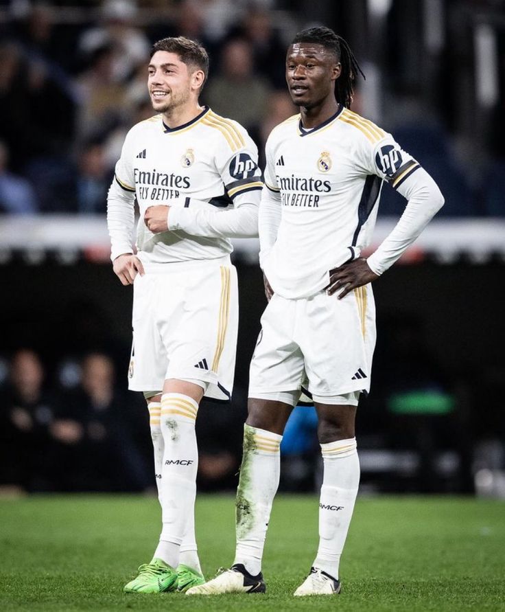 Madrid Zone tweet media