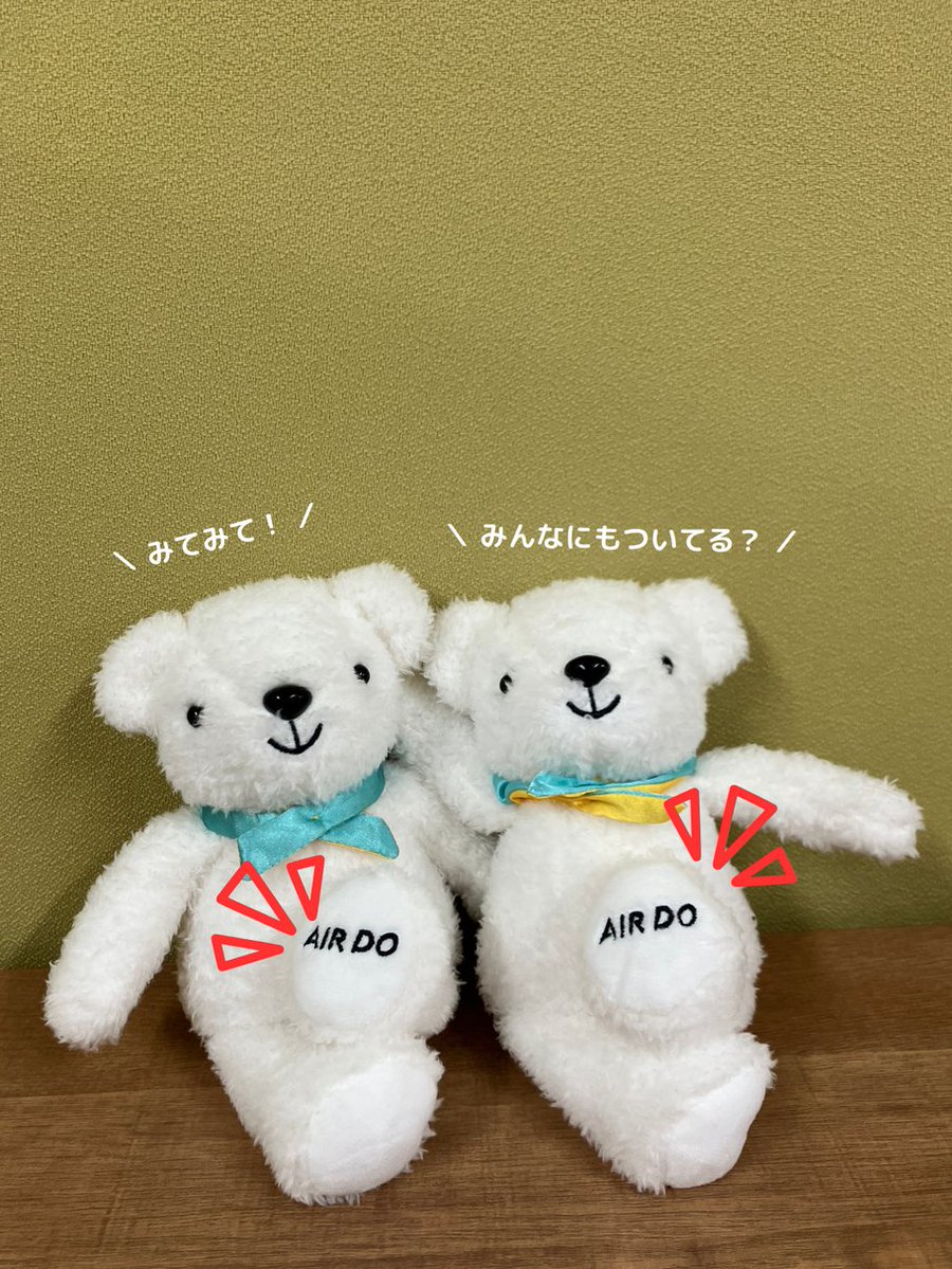 【公式】AIRDO（エア・ドゥ）｜北海道の翼 tweet media