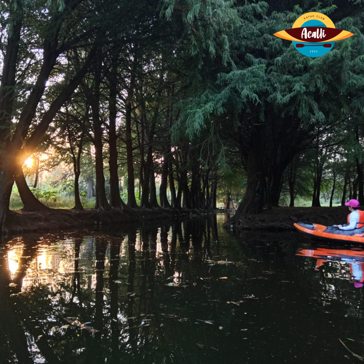 AcalliKayakClub's tweet photo. No es lo mismo remar,
que saber hacia dónde remar.

Un recorrido improvisado avanza.
Una ruta diseñada tiene sentido.

En Acalli Kayak Club, cada trayecto responde al territorio.
No es casualidad.
Es diseño.

#AcalliKayakClub #RutaDelToro #Xochimilco #KayakXochimilco #Ecoturismo https://t.co/9KRYzWKrBF