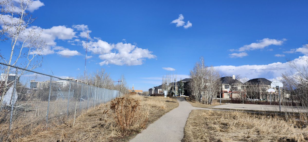 CanadianBro 🍁 tweet media