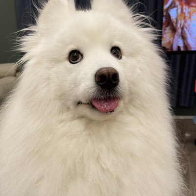 CONY tweet media