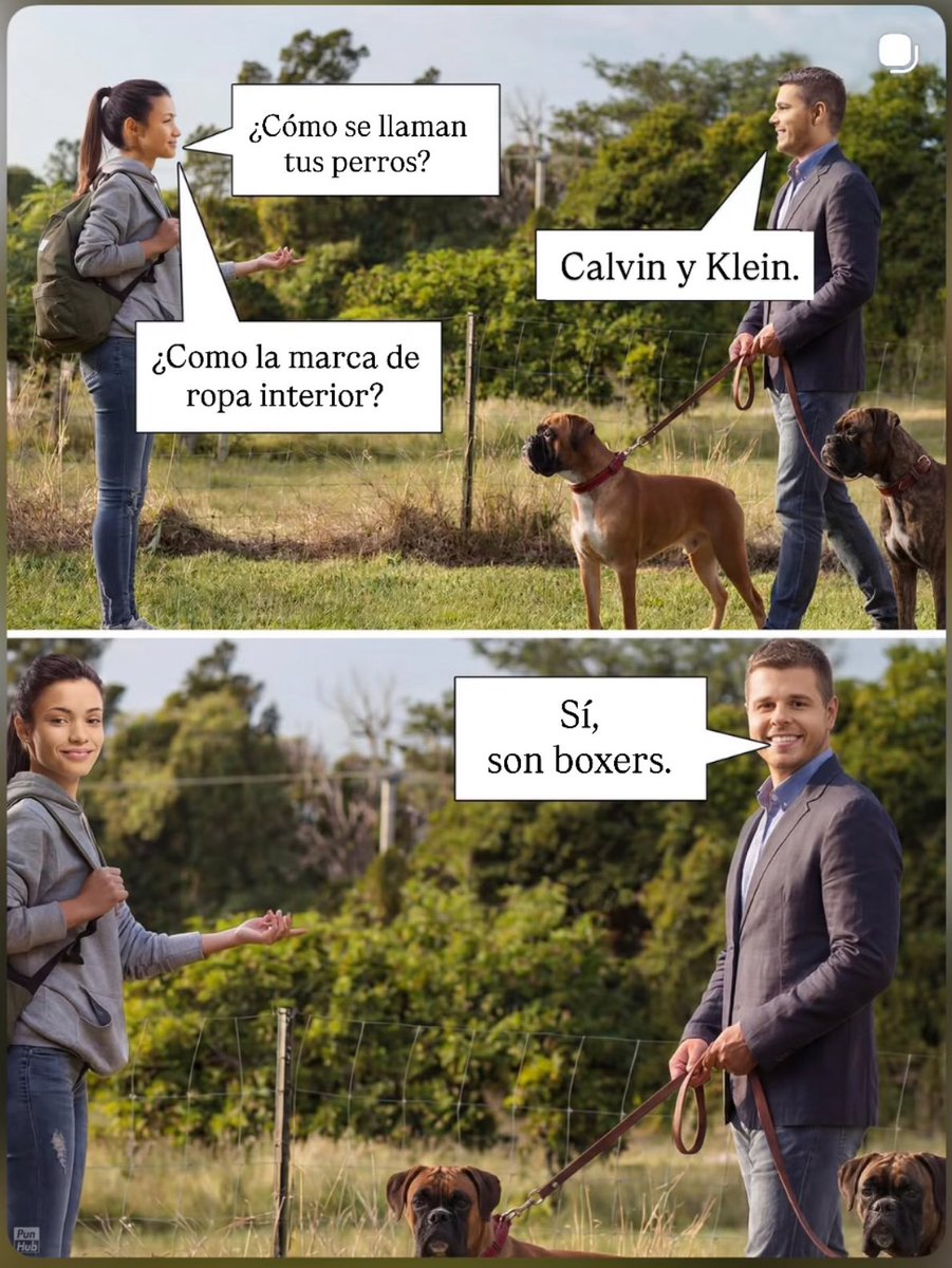 Gon Curiel tweet media