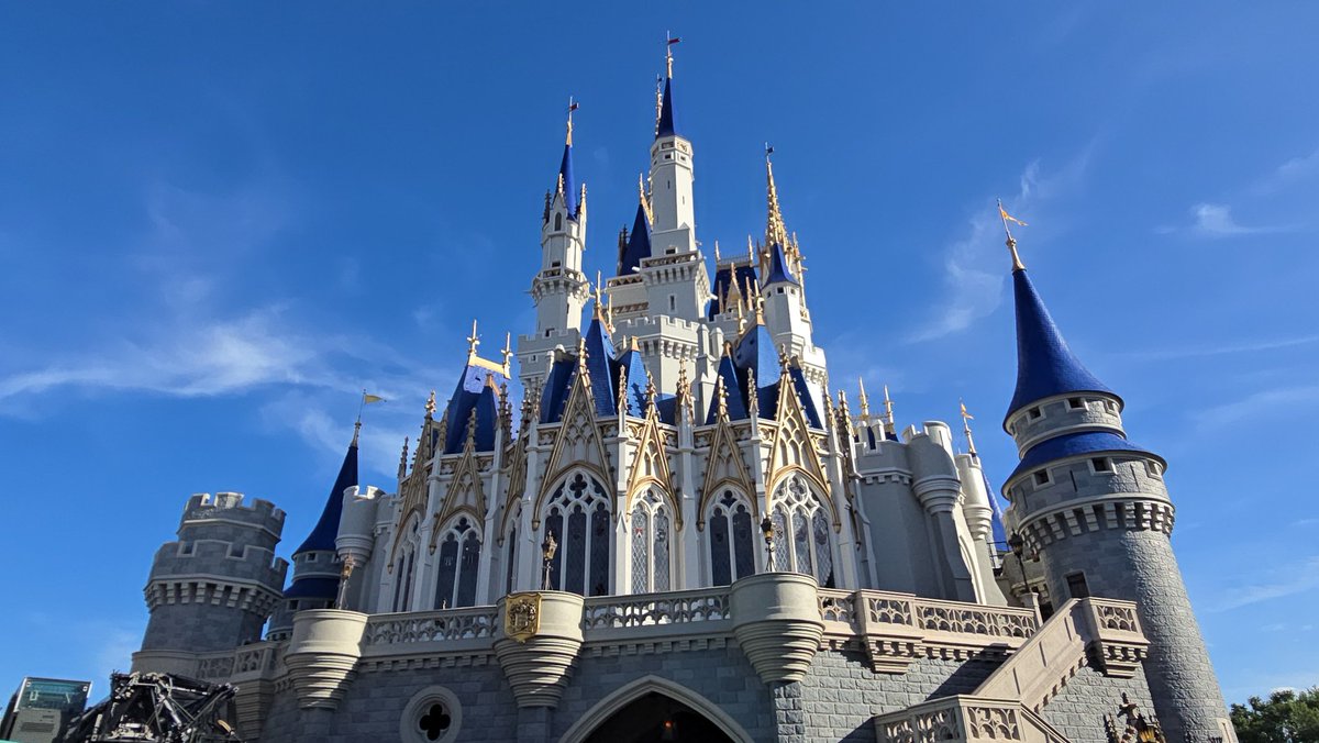 Ashley Carter tweet media