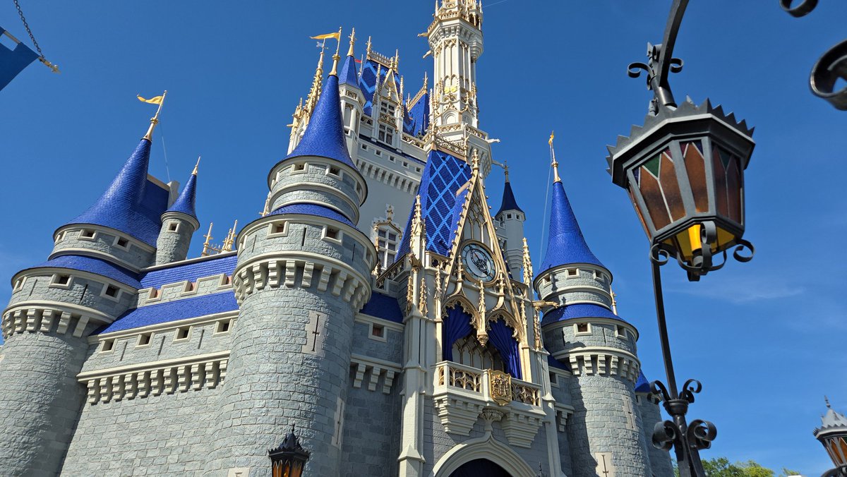 Ashley Carter tweet media