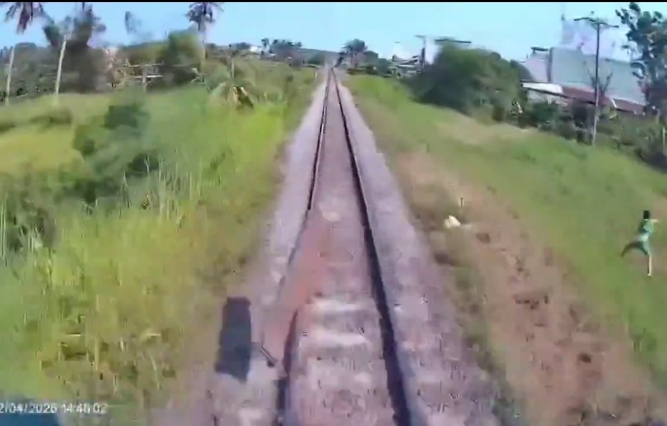 Wind Reyes tweet media