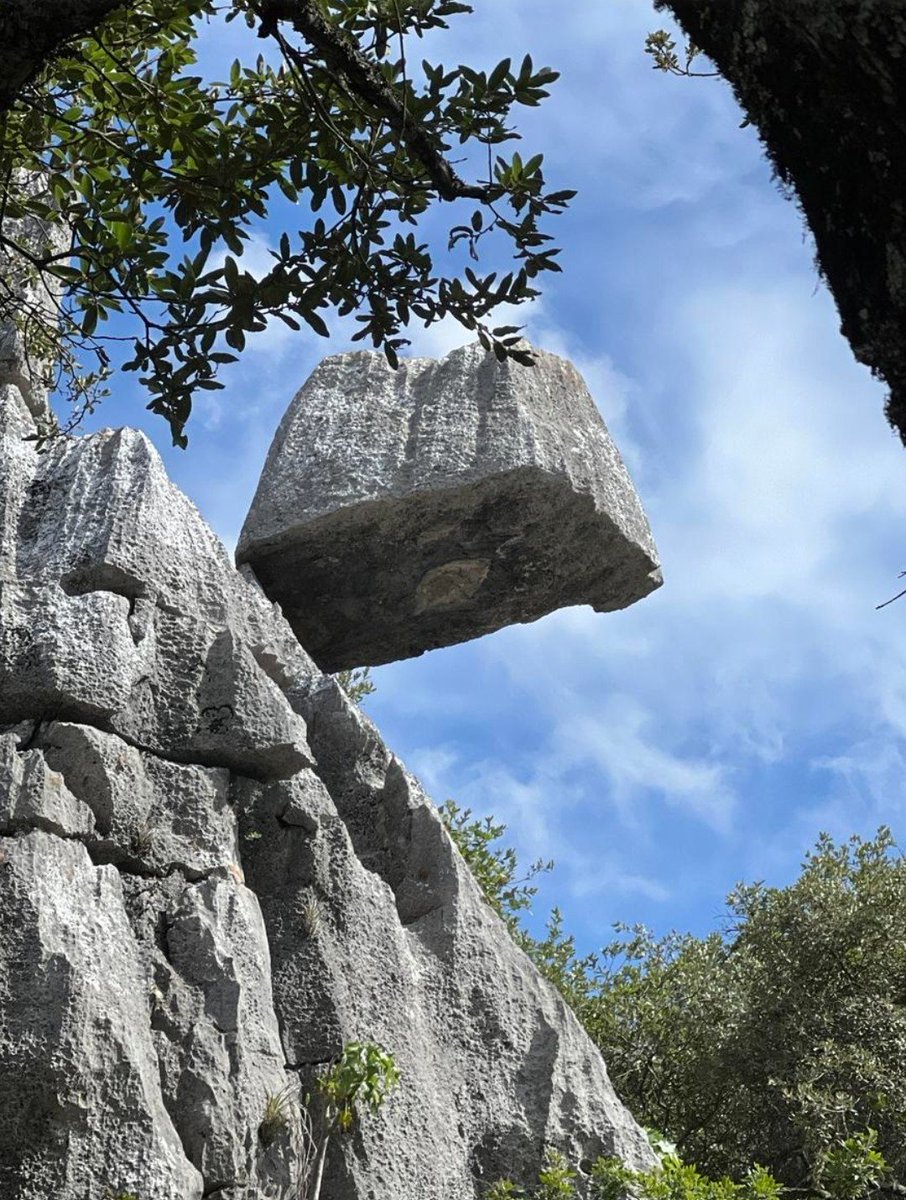 Jay Anderson tweet media