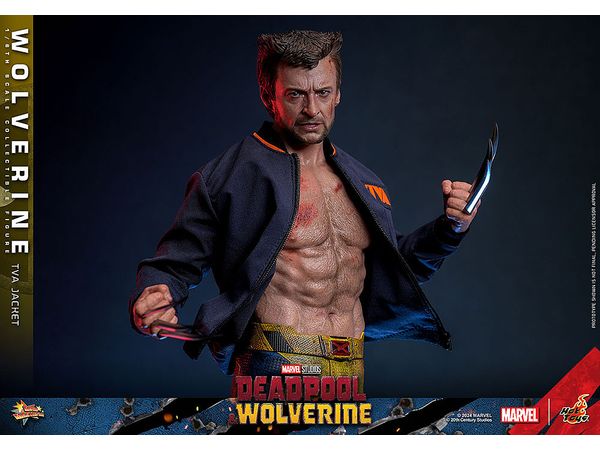 ホビーリンク・ジャパン（HLJ） tweet media