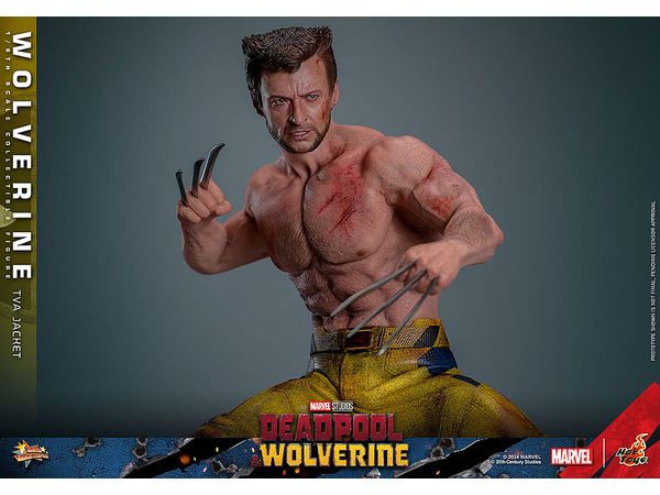 ホビーリンク・ジャパン（HLJ） tweet media