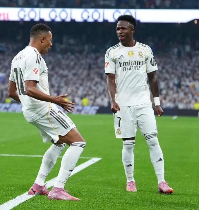 محمود مجيد tweet media