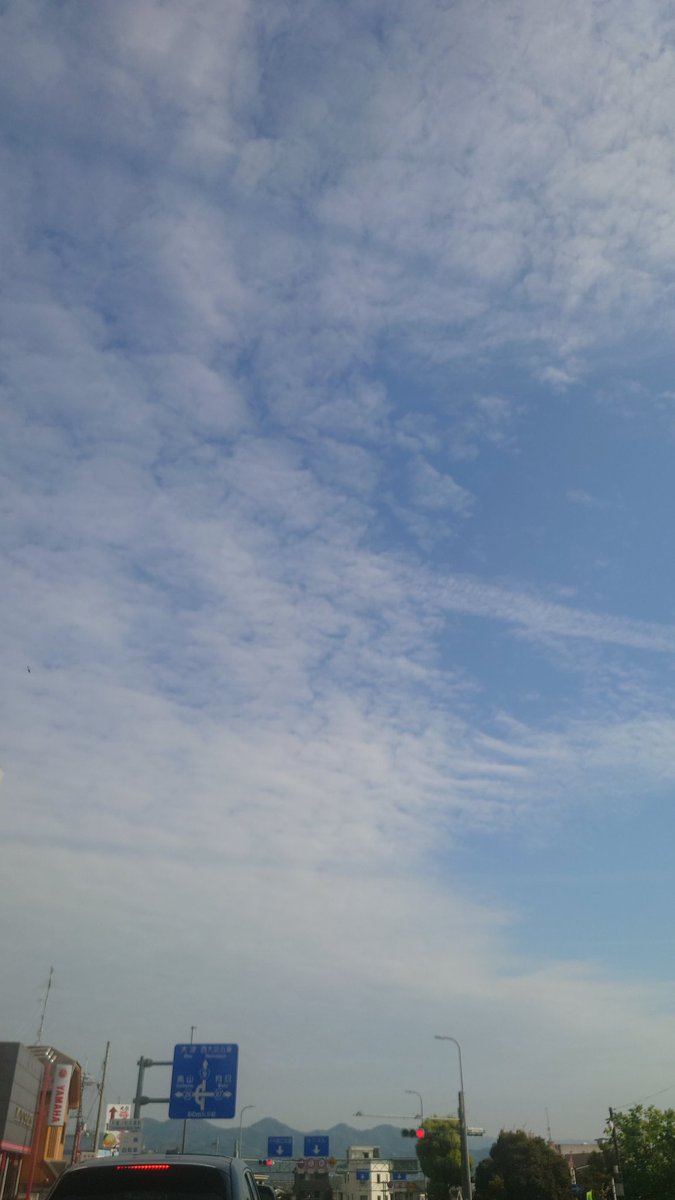 SOO -ソマル- 【公式】京都でしか買えないお土産「おふき」 tweet media