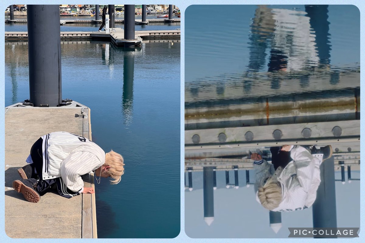 ドリー tweet media