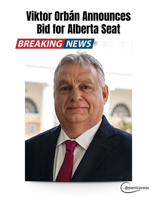 Randy Hamilton tweet media