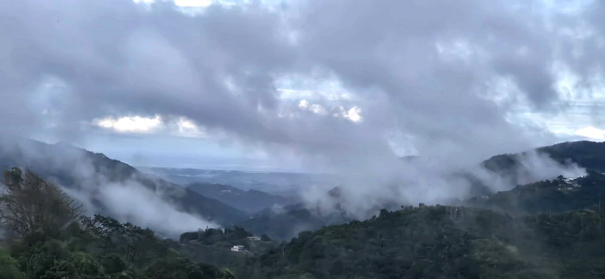 Norma Ortiz Rodriguez tweet media