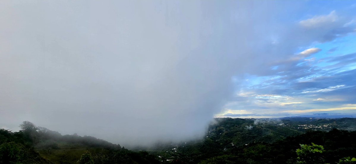 Norma Ortiz Rodriguez tweet media