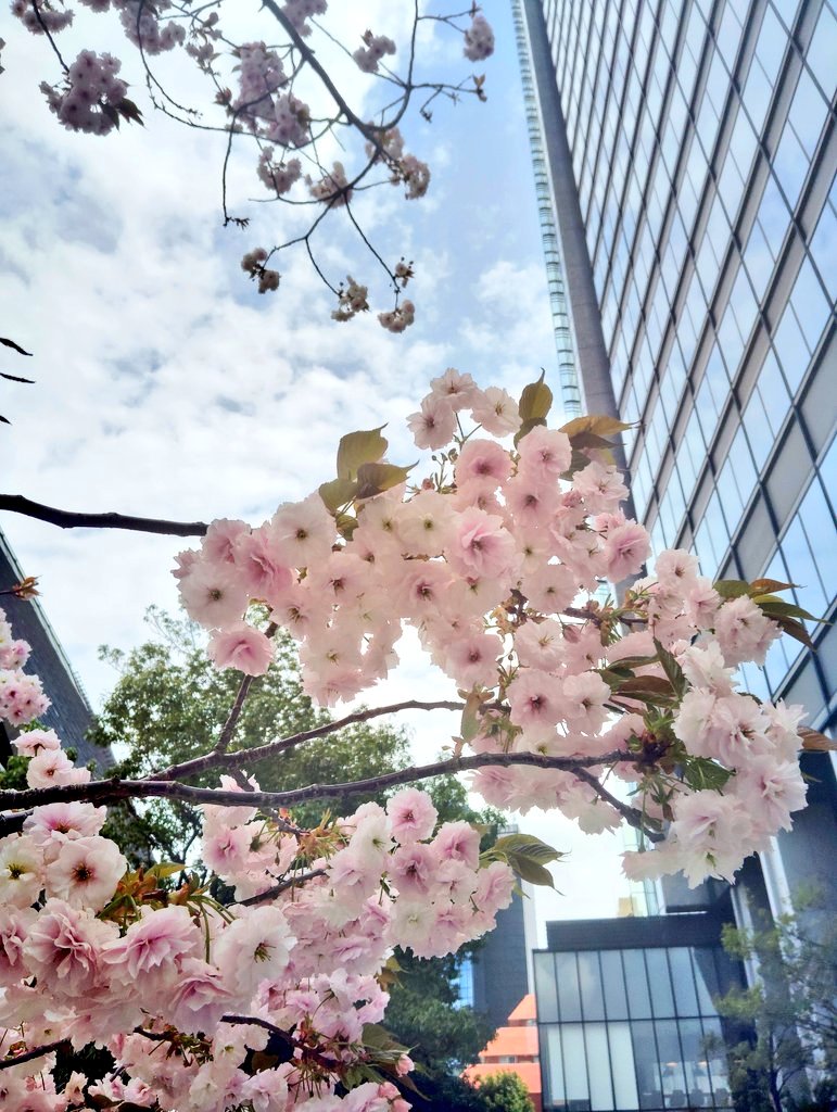 為食猫Youmei🇭🇰広東語(粤拼)学習202311〜 tweet media